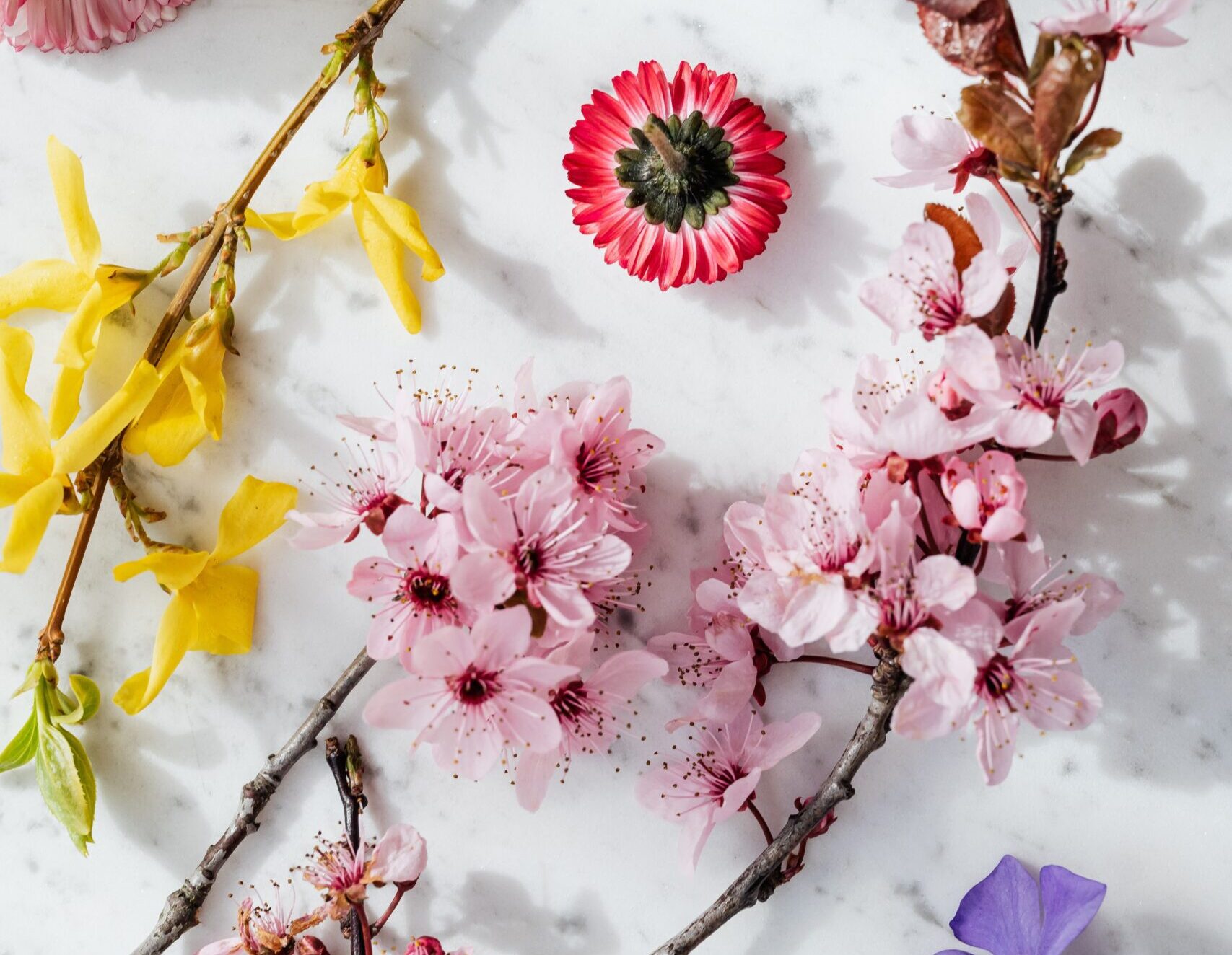 five_spring_color_combinations_to_wow_the_eye